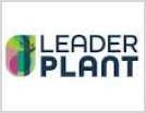 Leaderplant