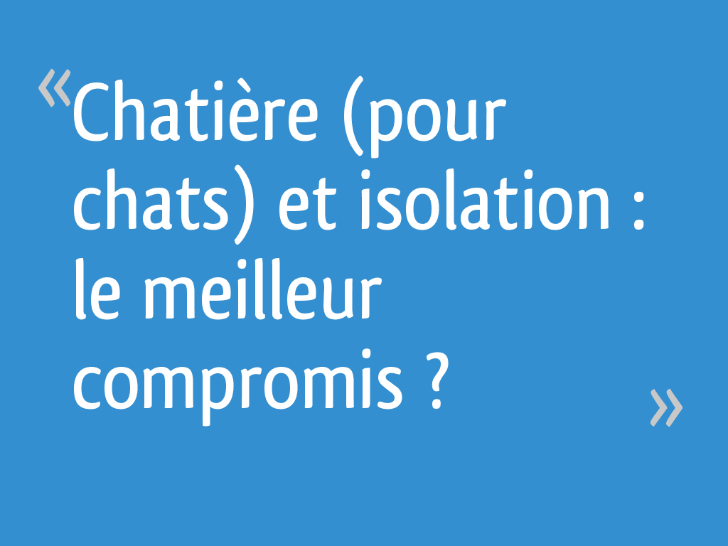 Chatiere Pour Chats Et Isolation Le Meilleur Compromis 32 Messages