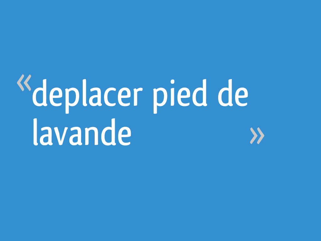 Deplacer Pied De Lavande