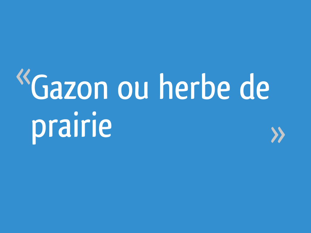 Gazon Ou Herbe De Prairie 14 Messages