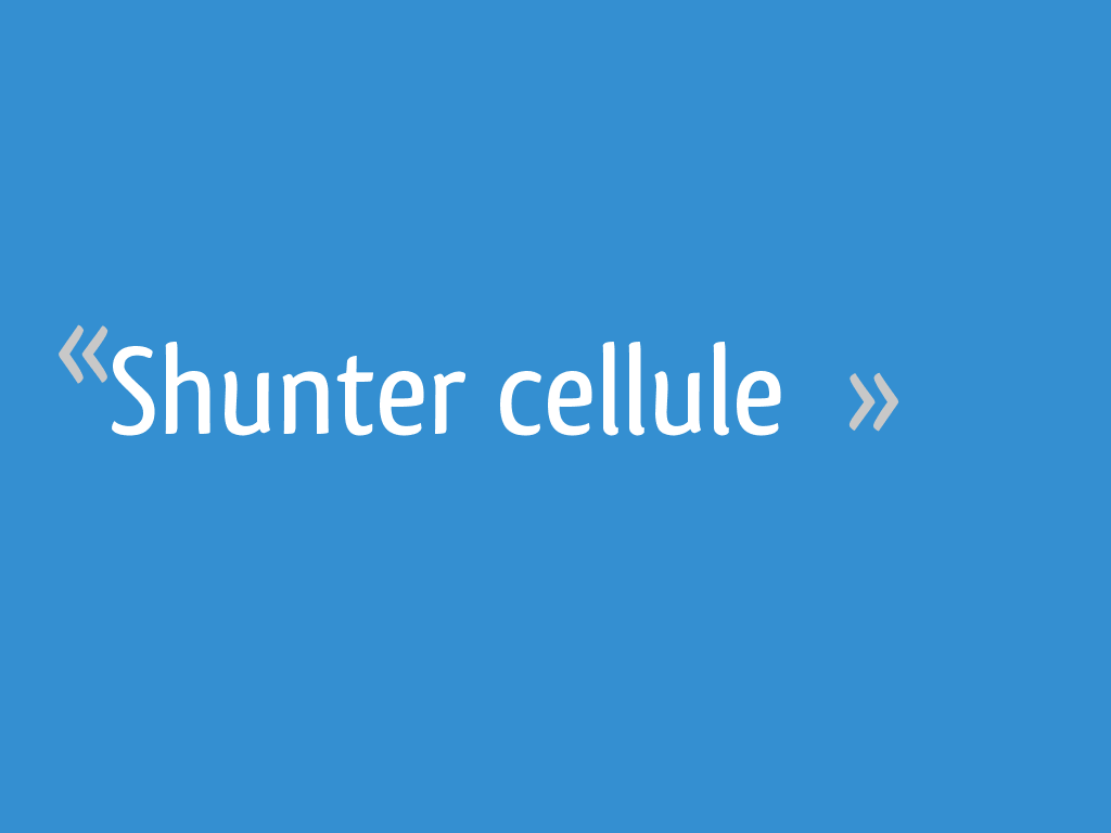 Shunter Cellule 13 Messages