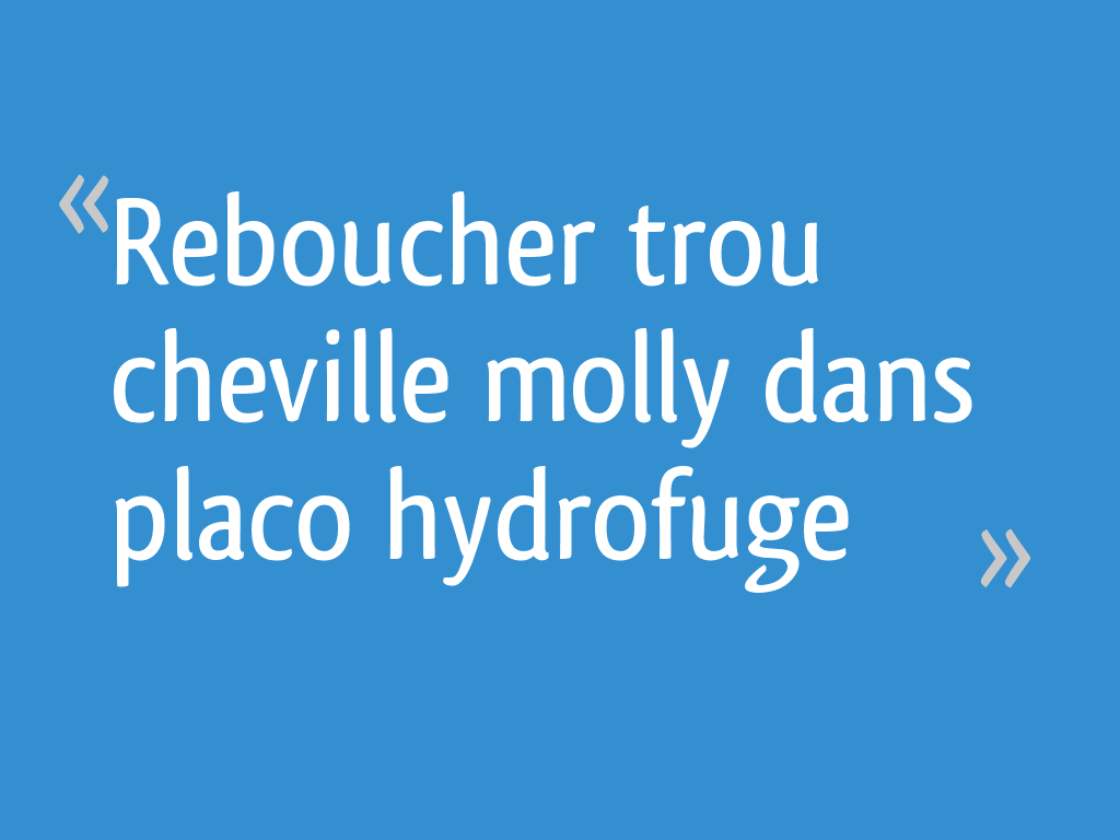 Reboucher trou cheville molly dans placo hydrofuge R solu 8