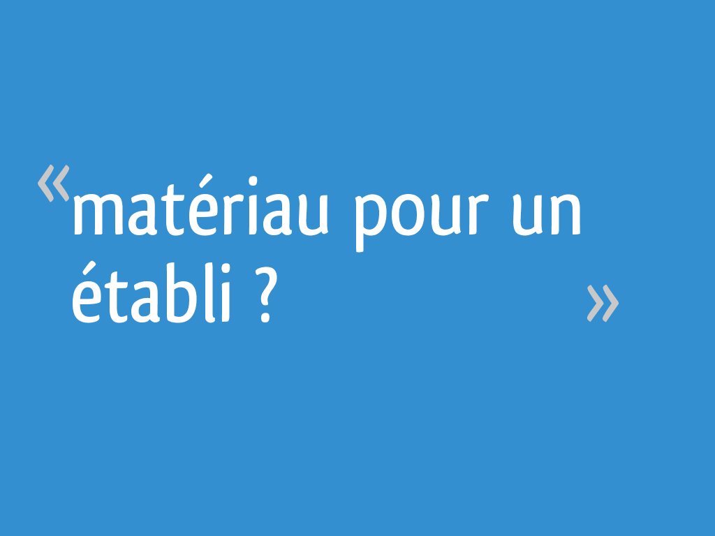 Vers l'établi idéal ? : Outillage - Page 3 - Forum Système D